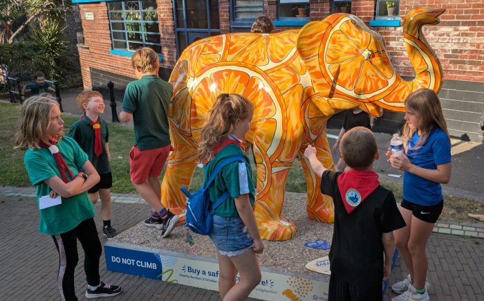 elephant