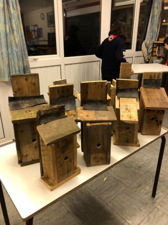 bird boxes galore