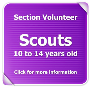 Scouts