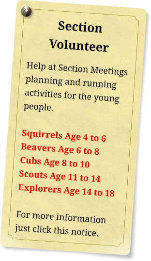 section volunteer