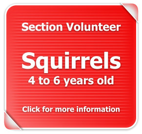 Squirrels